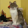 Отзыв от Оксана Шилова